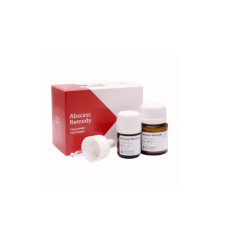 Abscess remedy (Абсцесс ремеди) з дексаметазоном 15 г + 15 г.PD Швейцарія.